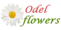 Odel Flowers Logo